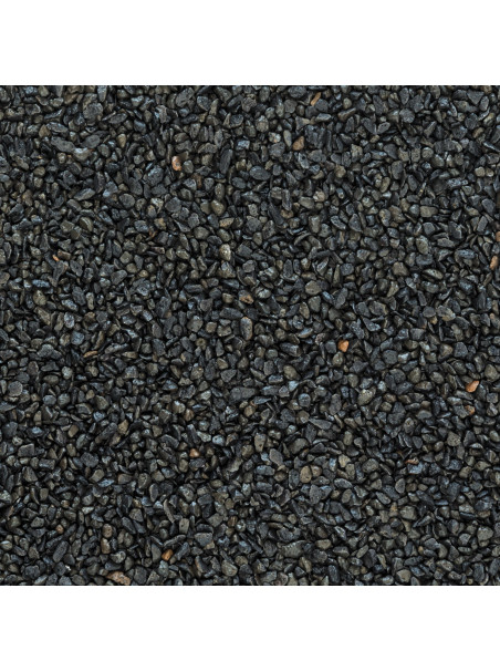 Sustrato JBL Manado DARK 3L