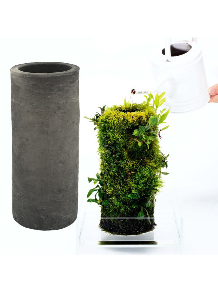 DOOA Terra Base M – Jarrón para musgos, helechos y orquídeas en estado emergido 2