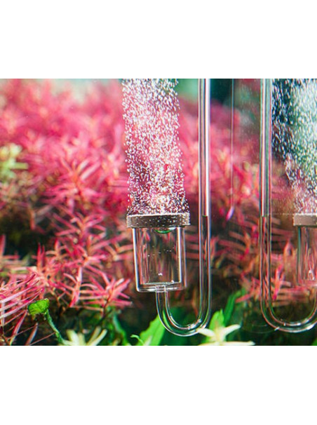 AquaRIO Neo Diffuser CO2 Normal Original M