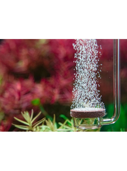 AquaRIO Neo Diffuser Normal SPECIAL M - CO2