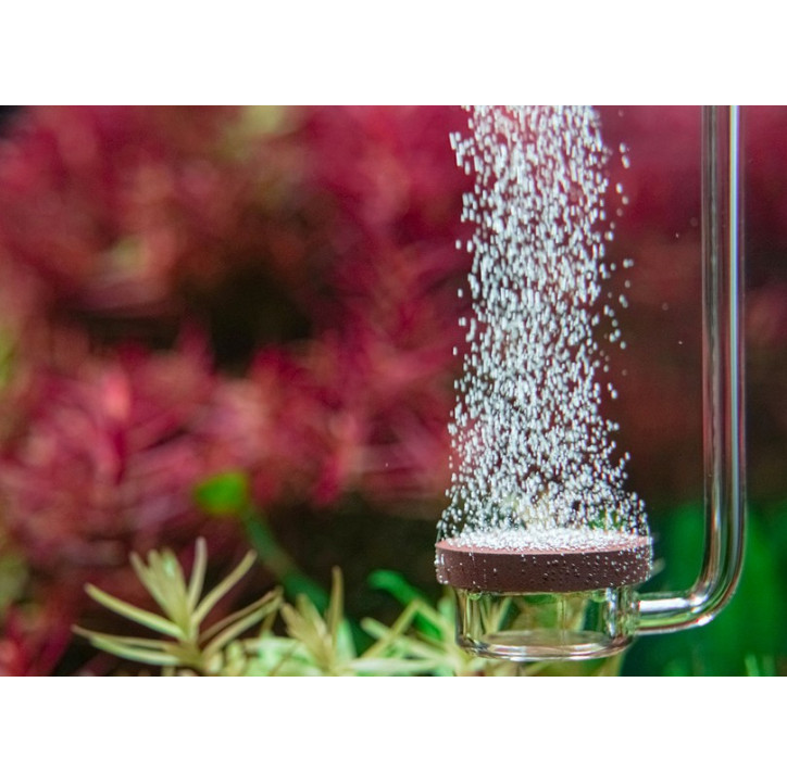 AquaRIO Neo Diffuser Extend SPECIAL S