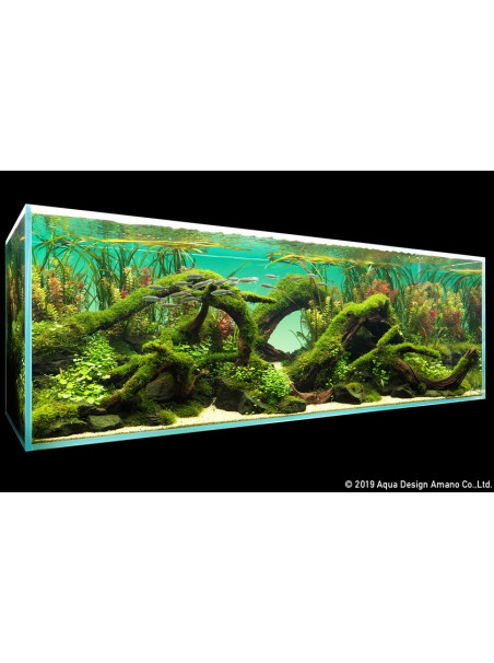 ADA - Gradation Sheet 90 Green (Vinilo Light Screen)