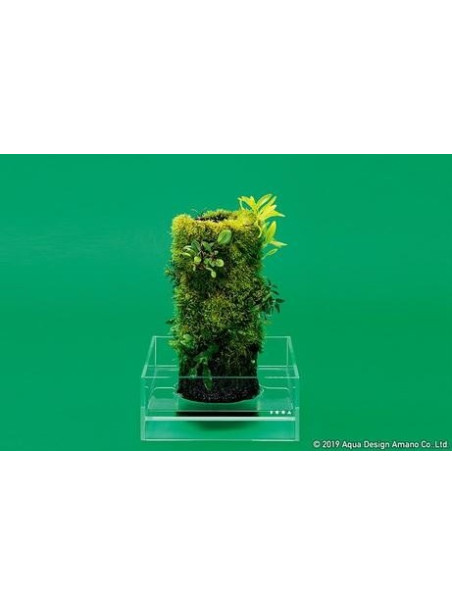 DOOA Terra Base S (16 cm de altura)