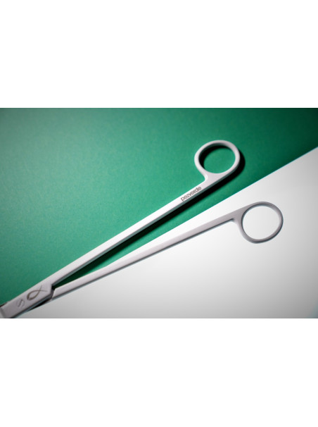 Tijeras Curvas Blancas PezVerde 25cm Acero Inox