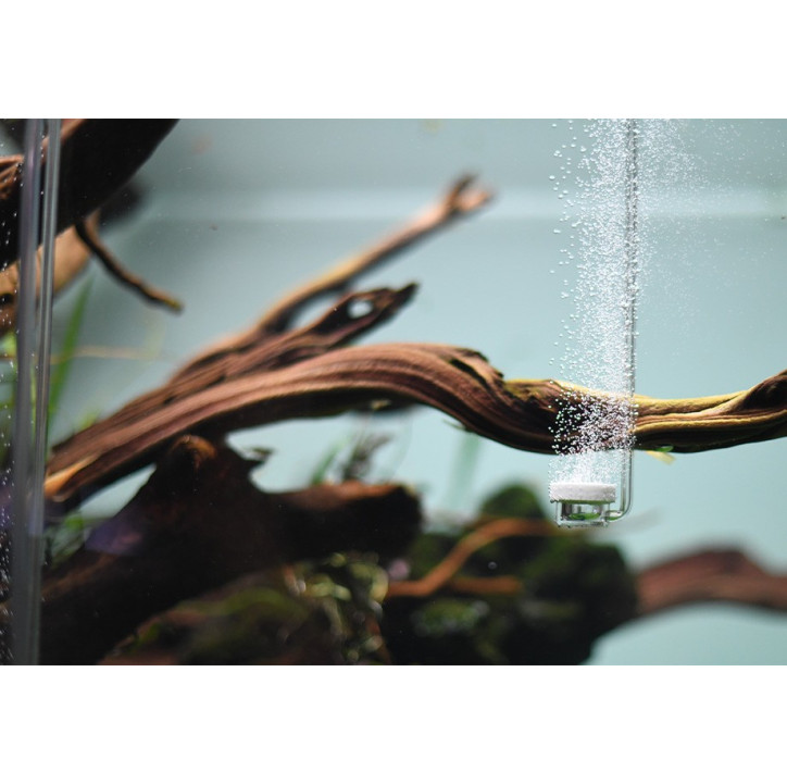 AquaRIO AIR Diffuser Normal SPECIAL M