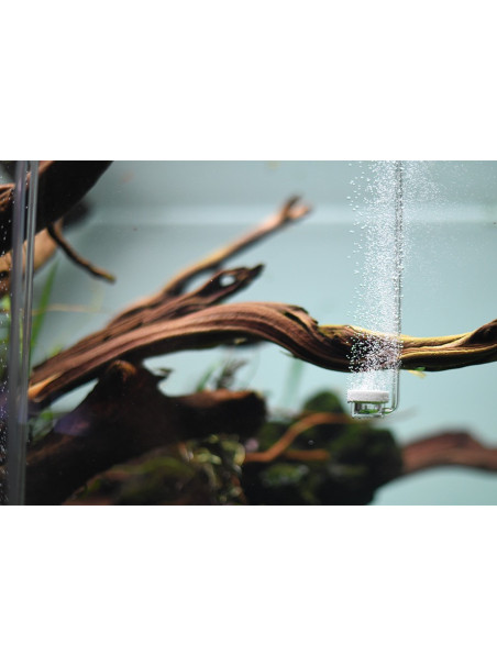 AquaRIO AIR Diffuser Curved SPECIAL M