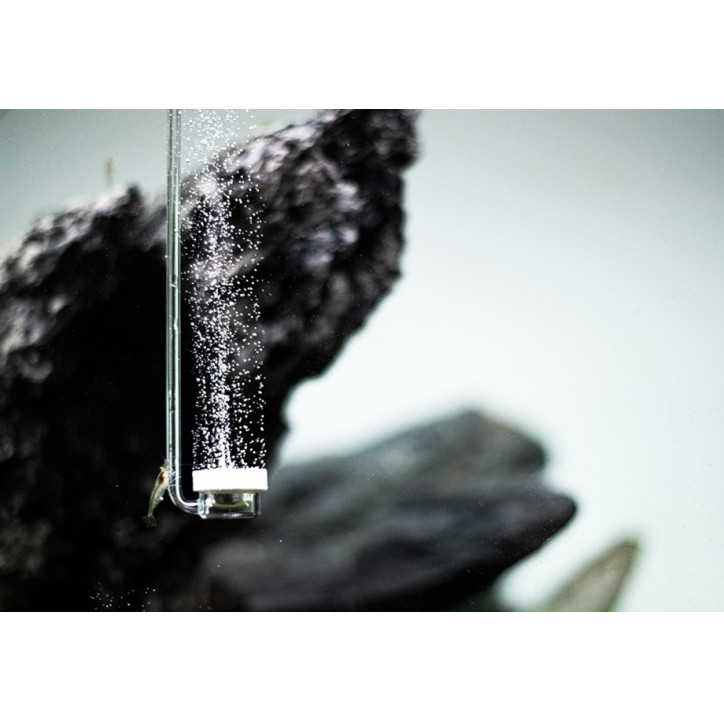 AquaRIO AIR Diffuser Curved SPECIAL M