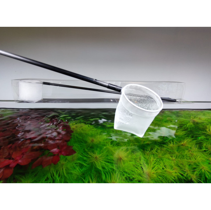 Red Premium para Gambas