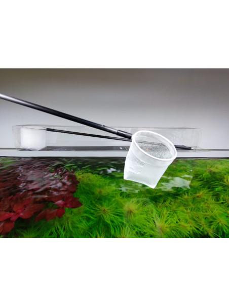 Red Premium para Gambas