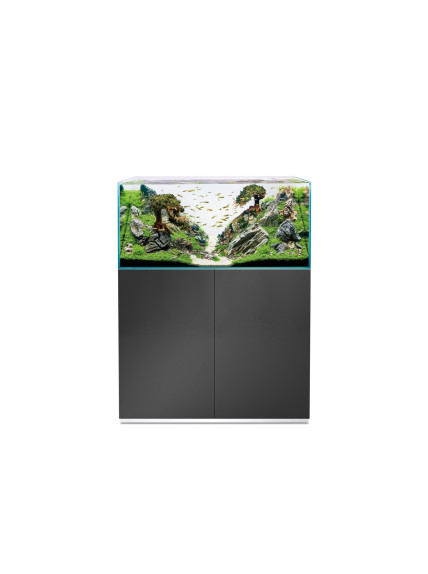SET Acuario y Mesa OASE ScaperLine 100 Gris 2