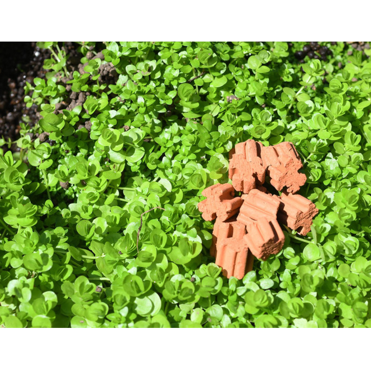 AquaRIO Neo Media PURE PREMIUM 1L - TALLA S