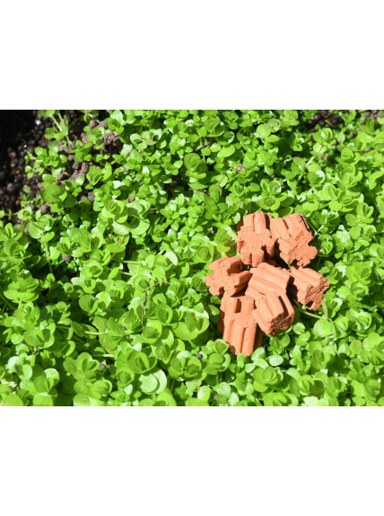 AquaRIO Neo Media SOFT PREMIUM 1L - TALLA S 2