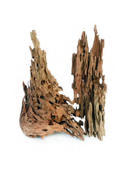 Dragon Wood - Madera Dragon 2