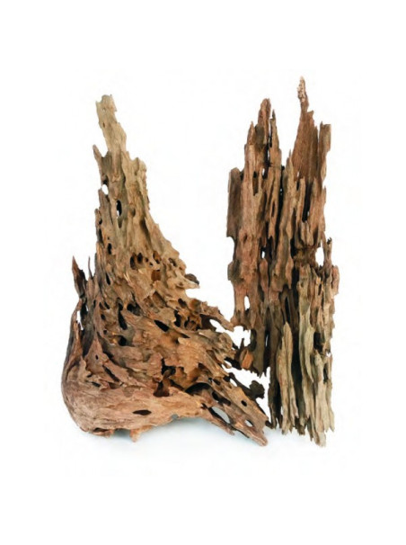 Dragon Wood - Madera Dragon