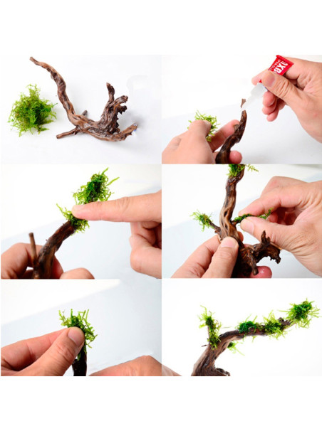 Pegamento Gel Cianocrilato 5Gr