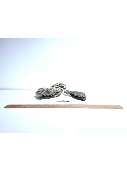 Roca Amano Seleccionada - Pack número 8