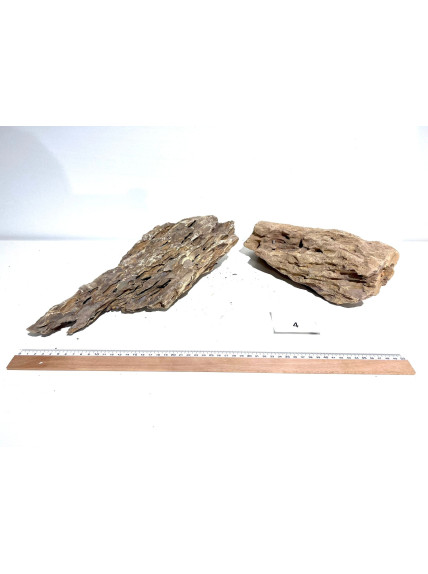 Roca Dragón Seleccionada - Pack número 4