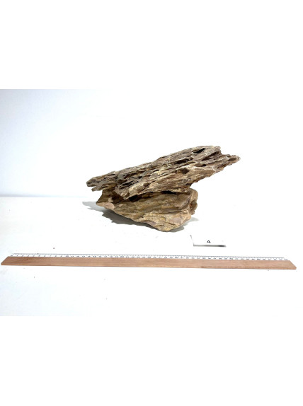 Roca Dragón Seleccionada - Pack número 4 2