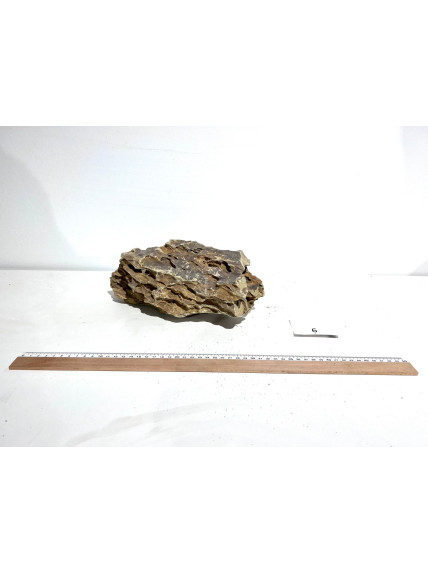 Roca Dragón Seleccionada - Pieza número 6