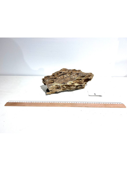 Roca Dragón Seleccionada - Pieza número 6 2