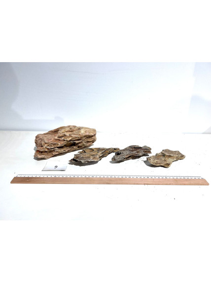 Roca Dragón Seleccionada - Pack número 9