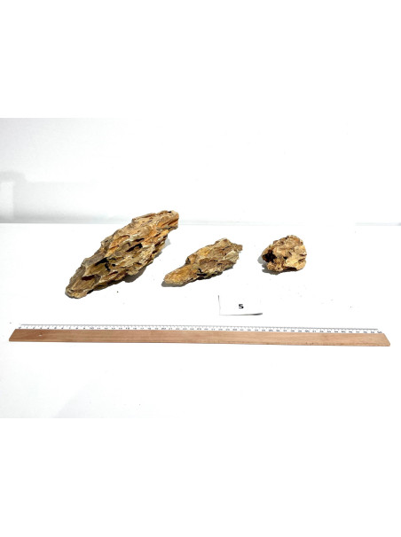 Roca Dragón Seleccionada - Pack número 5