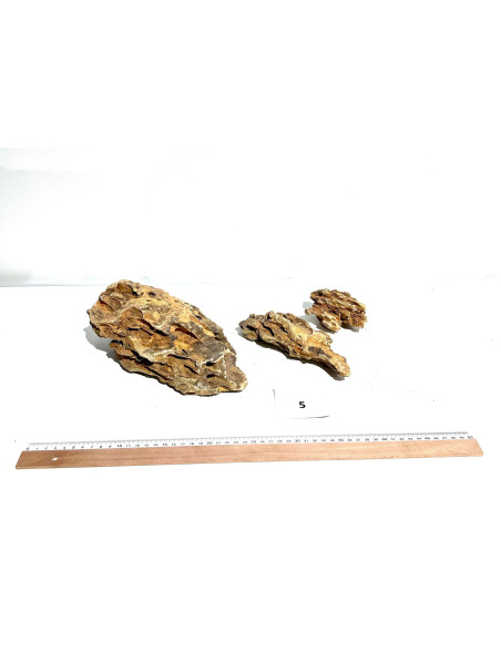 Roca Dragón Seleccionada - Pack número 5