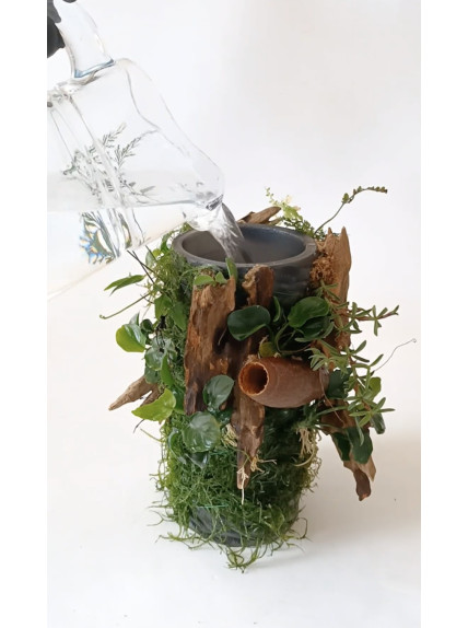 Nebari - TubeGrow Amazonas (Talla L) 2