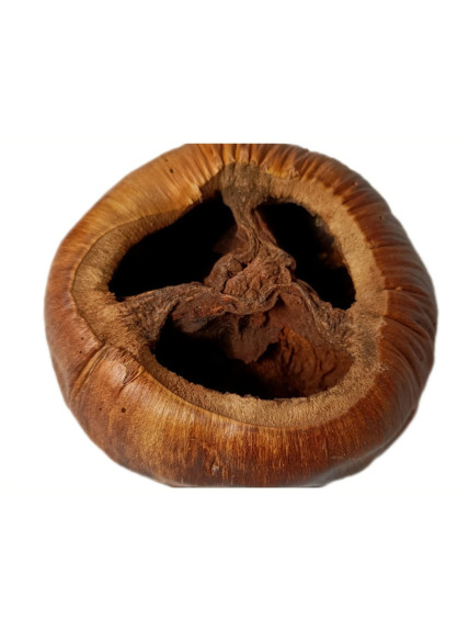 Talami - Sakana Botanicals 2