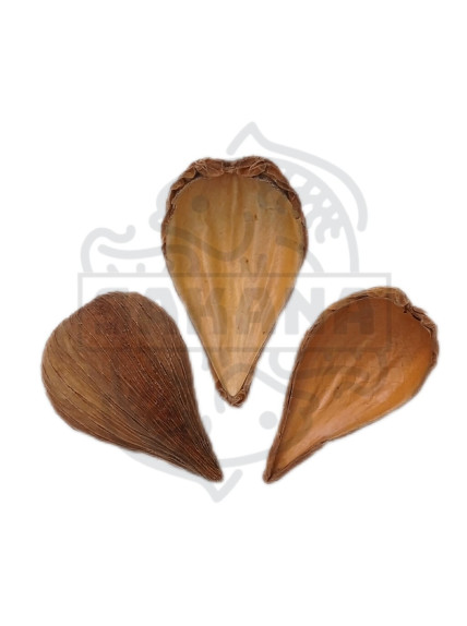 Dragea (Pack 3 Unidades) - Sakana Botanicals 2