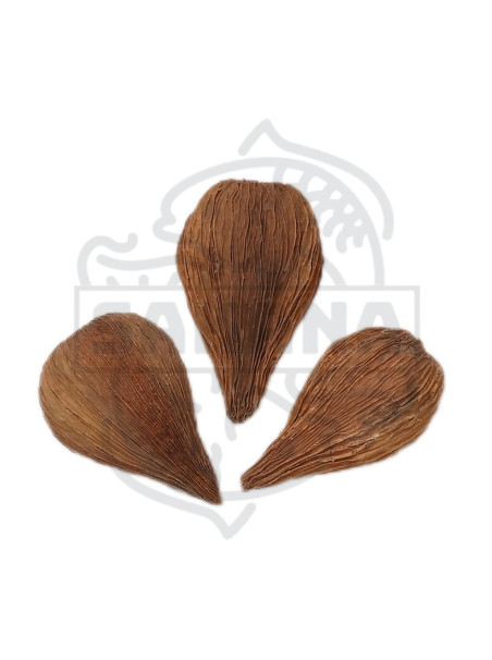 Dragea (Pack 3 Unidades) - Sakana Botanicals