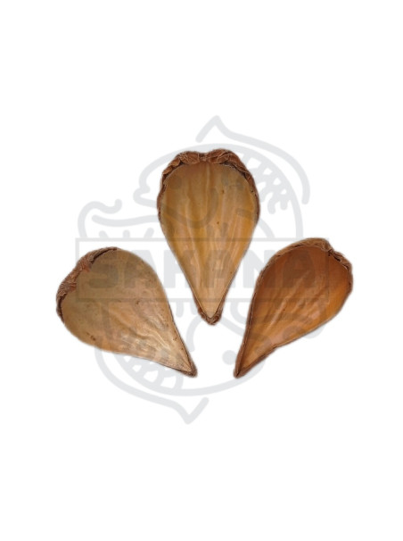 Dragea (Pack 3 Unidades) - Sakana Botanicals