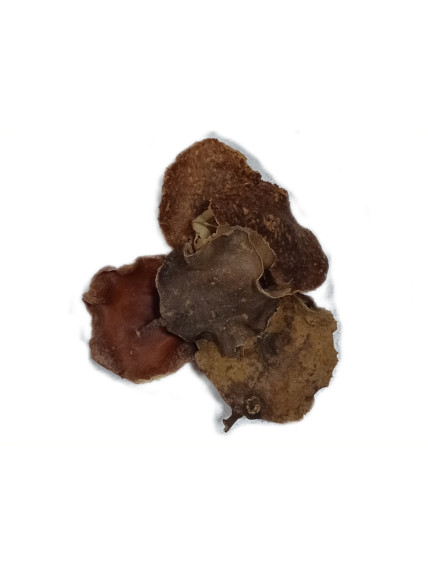 Jacaranda (Pack 5 Unidades) - Sakana Botanicals 2