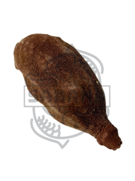 Fruto Baobab - Sakana Botanicals