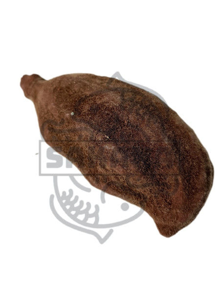 Fruto Baobab - Sakana Botanicals