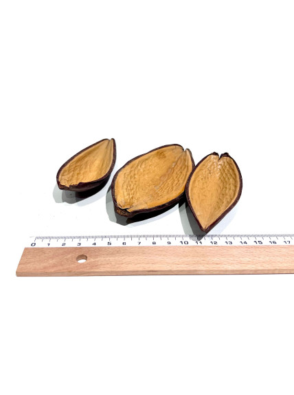 Canoinhas (Pack 3 Unidades) - Sakana Botanicals