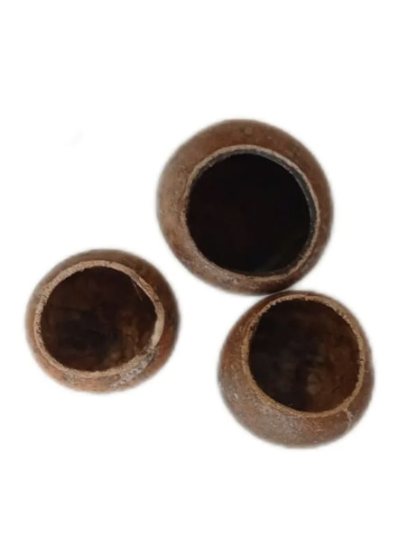 Sakana - Fruto Kuchipal (Pack 3 Unidades)