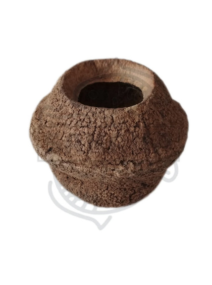 Sakana - Sapucaia XXL (Una Unidad) 2