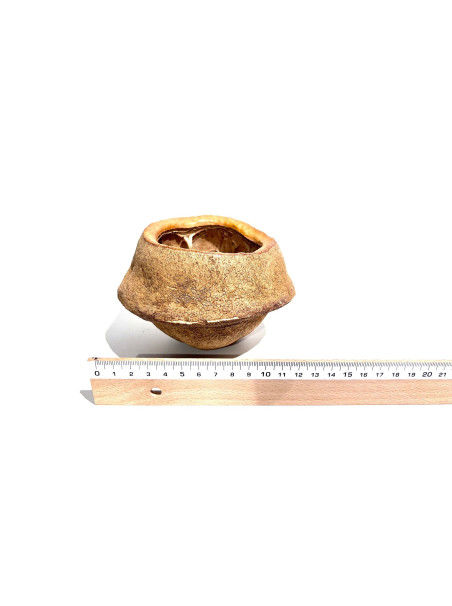 Sakana - Sapucaia XXL (Una Unidad)