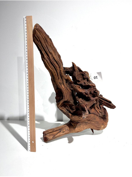 DriftWood Seleccionada - Pieza número 10