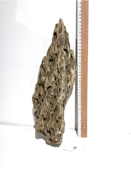 Roca Dragón Seleccionada - Pieza número 7