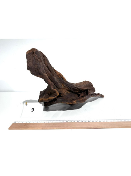 DriftWood Seleccionada - Pieza número 9