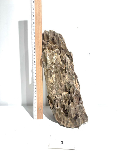 Roca Dragón Seleccionada - Pieza número 1