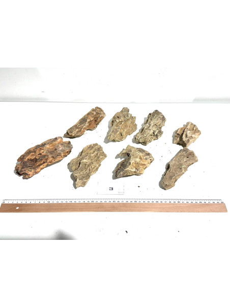 Roca Dragón Seleccionada - Pack número 3