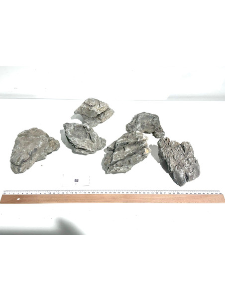 Roca Amano Seleccionada - Pieza número 6