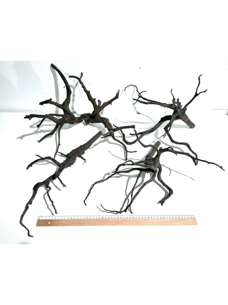 Madera Rasamala Black - Tamaño L