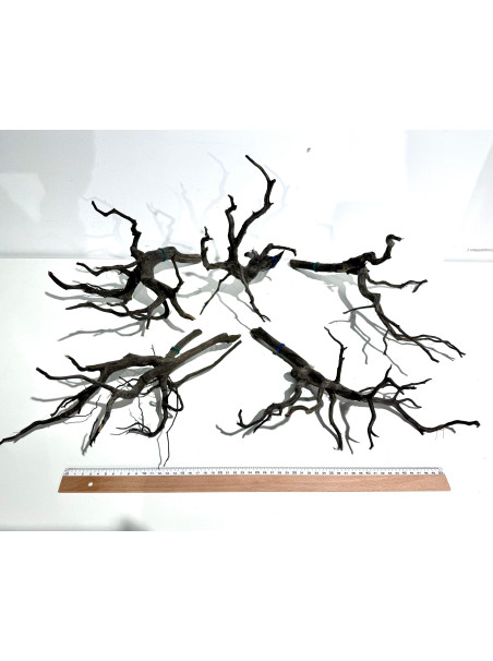 Madera Rasamala Black - Tamaño M