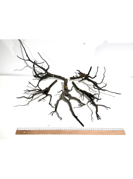 Madera Rasamala Black - Tamaño S