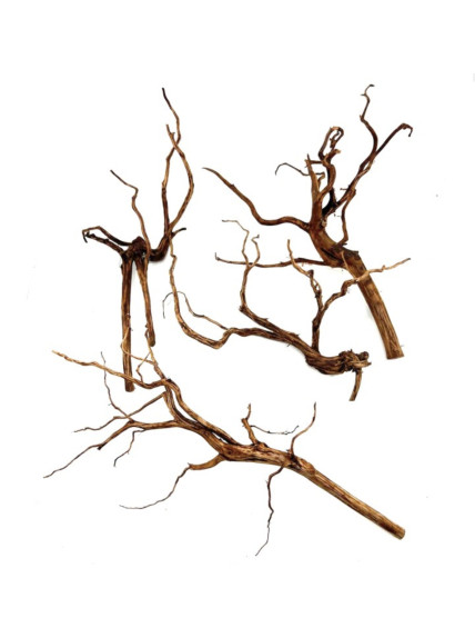 Madera Rasamala Brown - Tamaño S