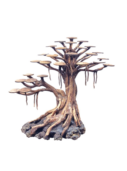 Bonsai Rasamala - Talla L